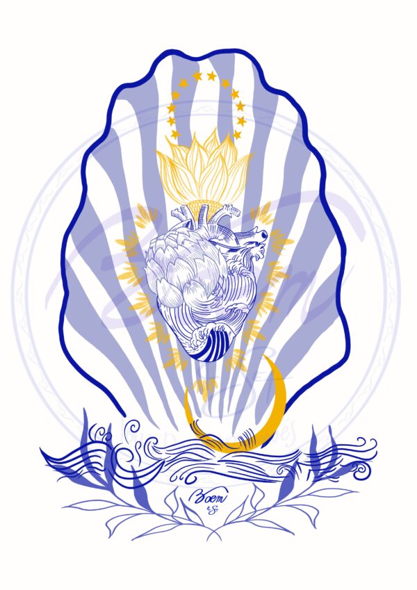 Illustrations - "Caussols"