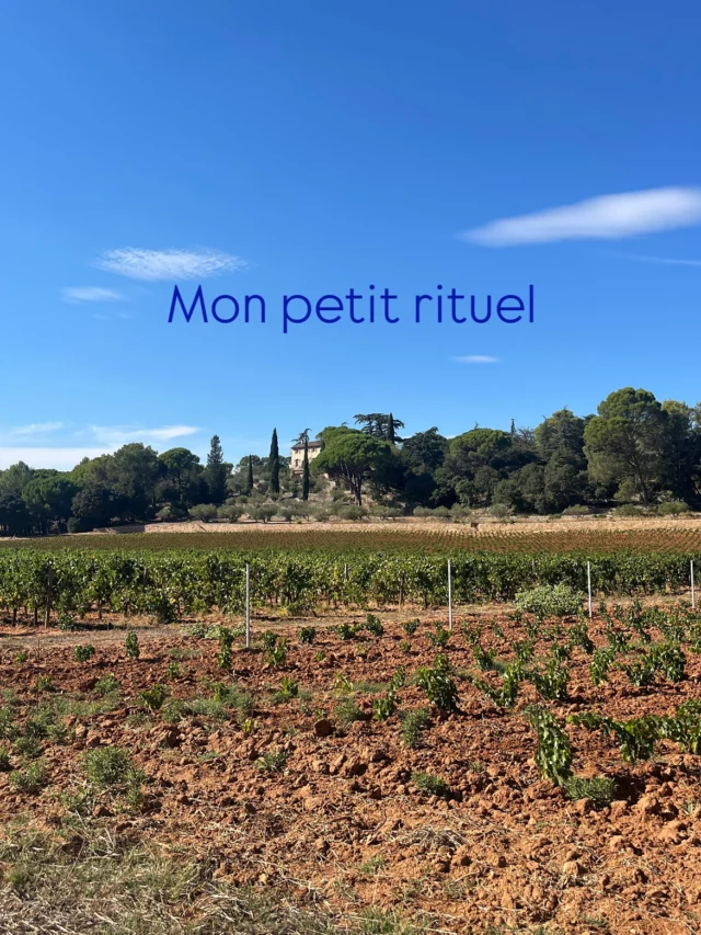 J’aime bien ce petit rituel du dimanche que je viens d’instaurer : un bref partage de mes moments off. 
C’était le dernier week-end de l’été, on lui dit à l’an prochain.☀️
On a bien profité de toi et de tout ce que tu nous offres.
Et bonjour les randos et les cueillettes de champignons !!! 🍄🤎 miam miam y en a une qui va être refaite 🐶